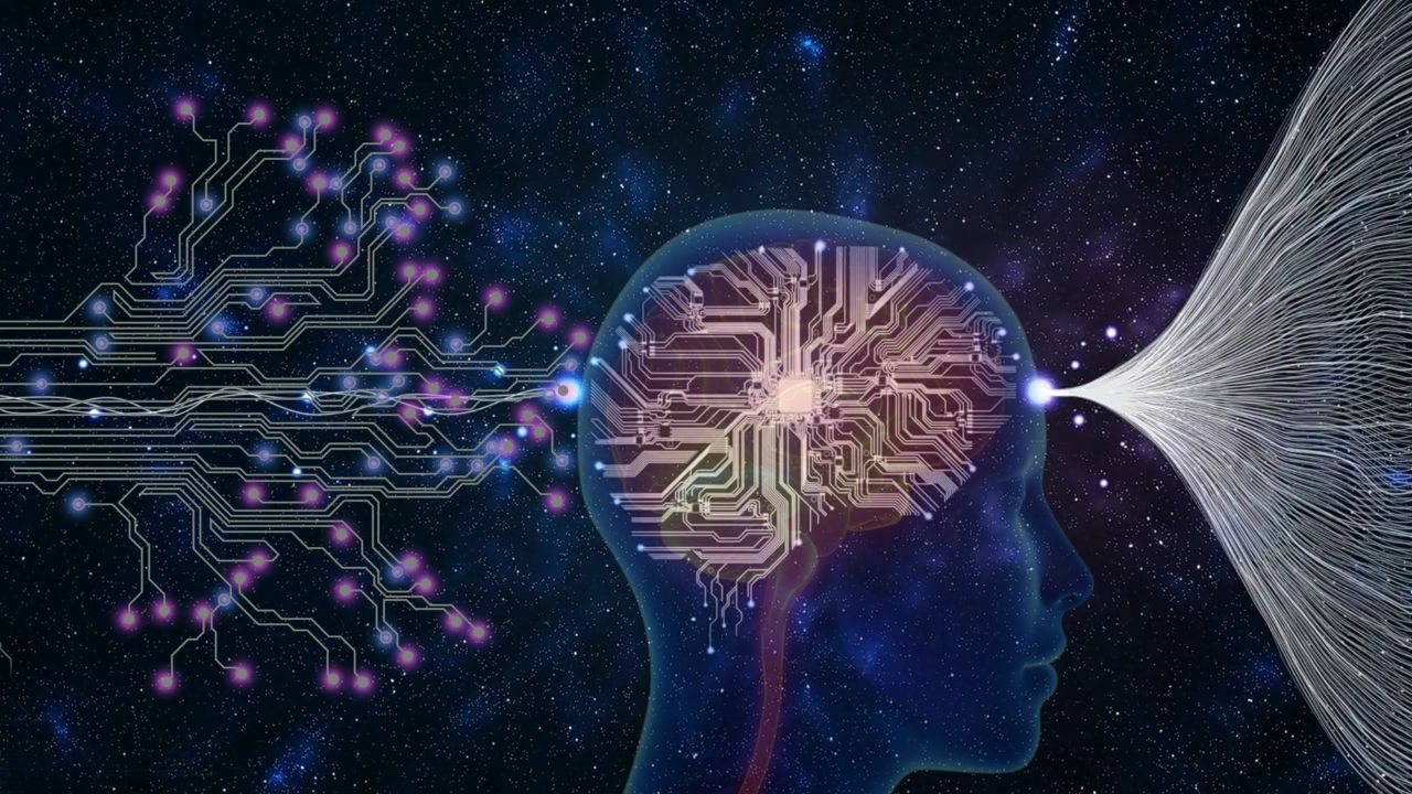 Your Brain's a Sponge: Soak It in Good Sh*t blog post image